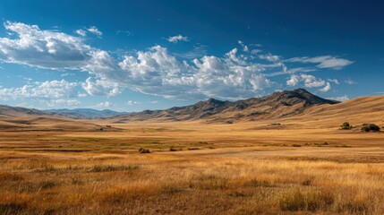 Fototapeta premium Vibrant golden fields stretch endlessly under a vivid blue sky filled with playful clouds. A serene mountain range looms in the distance, enhancing the tranquil landscape's beauty.