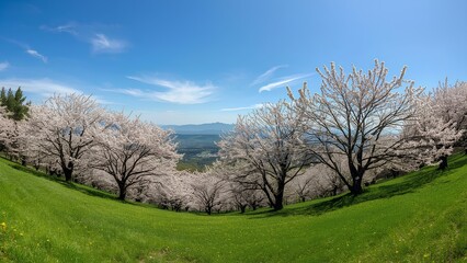 Obraz premium landscape