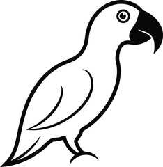 vector illustration of a bird
