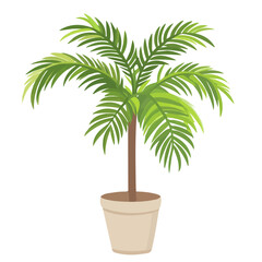 Obraz premium Areca Palm, flat style 2D vector image, isolated on a white background