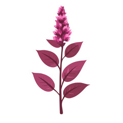 2D flat vector illustration of a Amaranth Flower in icon style, isolated on white background