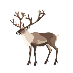 Minimal flat vector of a Caribou, 2D icon-style illustration on white background