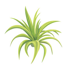 Flat 2D Air Plant illustration, vector graphic in icon style, on white background