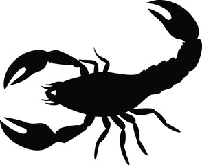 Silhouette of a detailed scorpion illustrating claws tail and legs on a clean white background