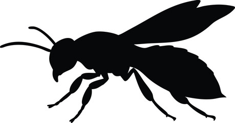 Silhouette of a buzzing insect depicting a detailed vector of a flying wasp in flight