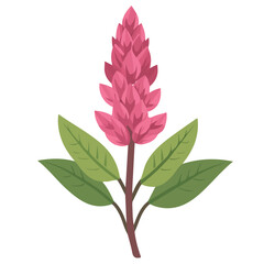 Flat 2D Amaranth Flower illustration, vector graphic in icon style, on white background