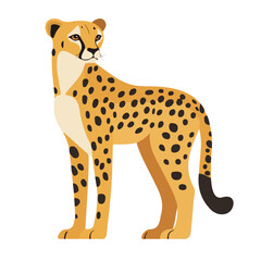 Flat 2D Cheetah illustration, vector graphic in icon style, on white background © Antoni