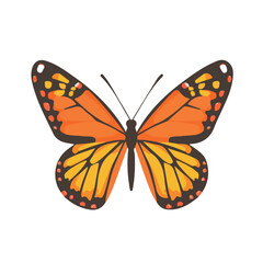Butterfly, flat style 2D vector image, isolated on a white background