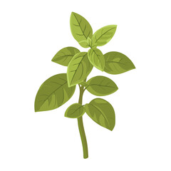 Fototapeta premium Minimal flat vector of a Basil Flower, 2D icon-style illustration on white background