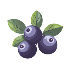 Minimal flat vector of a Bilberry, 2D icon-style illustration on white background