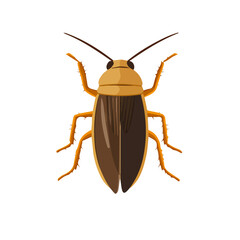 2D flat vector illustration of a Cockroach in icon style, isolated on white background