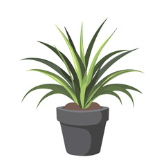 Flat 2D Air Plant illustration, vector graphic in icon style, on white background