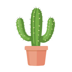 Cactus, flat style 2D vector image, isolated on a white background