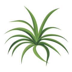 Flat 2D Air Plant illustration, vector graphic in icon style, on white background
