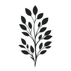 Flat 2D Black Cumin illustration, vector graphic in icon style, on white background