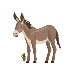 2D flat vector illustration of a Burros Tail in icon style, isolated on white background