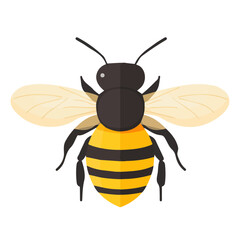 Flat 2D Bee illustration, vector graphic in icon style, on white background