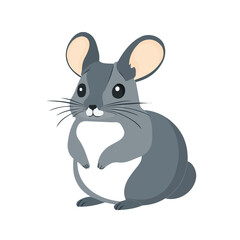 Chinchilla, flat style 2D vector image, isolated on a white background
