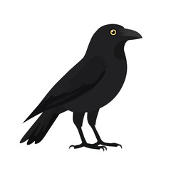 Flat 2D Crow illustration, vector graphic in icon style, on white background