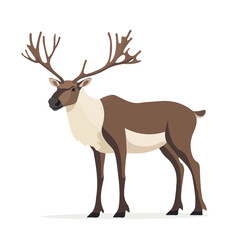 Caribou, flat style 2D vector image, isolated on a white background