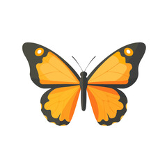Butterfly, flat style 2D vector image, isolated on a white background