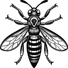 Striped Wasp Illustration Black and White Detailed Vector Graphic
