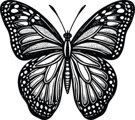 Intricate Black and White Monarch Butterfly Illustration A Detailed Vector Graphic