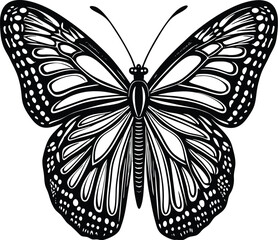 Elegant Black and White Butterfly Illustration Vector Graphic for Design Projects