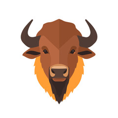 Buffalo, flat style 2D vector image, isolated on a white background