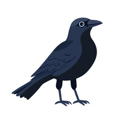 Flat 2D Crow illustration, vector graphic in icon style, on white background