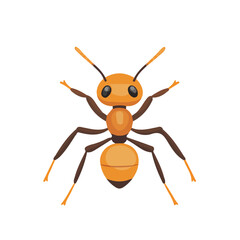 Flat 2D Ant illustration, vector graphic in icon style, on white background