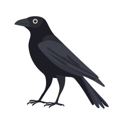 Minimal flat vector of a Crow, 2D icon-style illustration on white background