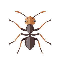 Flat 2D Ant illustration, vector graphic in icon style, on white background