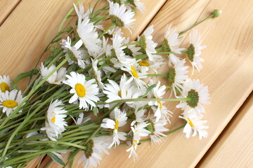 Chamomile flowers lie on a wooden background.