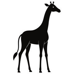 Silhouette of a Giraffe