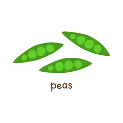Hand drawn flat opened green peas isolated on white background. Vegan high protein.