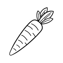 carrot line art vector illustration