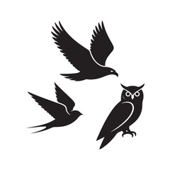 Obraz premium Three distinct bird silhouettes in flight isolated on white background