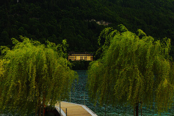 house on the shore of a mountain lake in the forest, surrounded by trees, a bridge on the water...