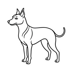 graceful fur lines on dog outline drawing art