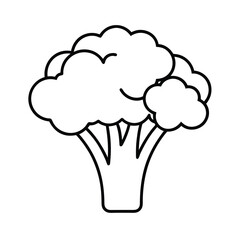 healthy broccoli line art vector