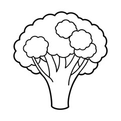 healthy broccoli line art vector