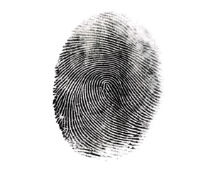  a fingerprint isolated on white background PNG ,ai generated