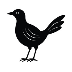 A Maasranga bird silhouette vector illustration