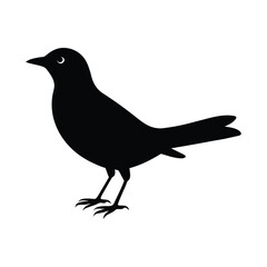 A Maasranga bird silhouette vector illustration