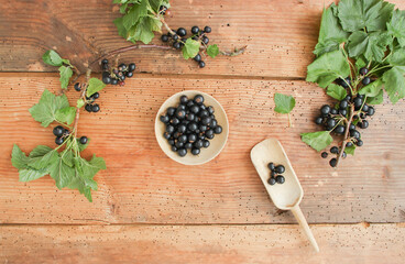 Schwarze Johannisbeeren Johannisbeere Beeren Vitamine Schale