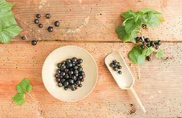 Schwarze Johannisbeeren Beeren frisch