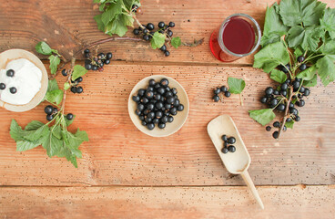 Schwarze Johannisbeeren Saft Joghurt Dessert Beeren Gerichte