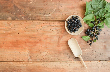 schwarze Johannisbeeren Johannisbeere Beeren Vitamine Schale