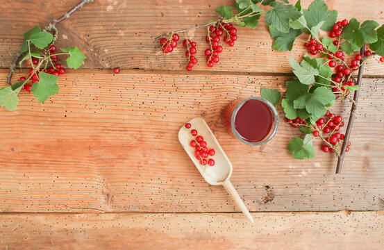 Rote Johannisbeeren Rot Saft